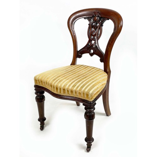 184 - DINING CHAIRS, a set of six, Victorian mahogany balloon backs with ornate interlaced carved and pier... 