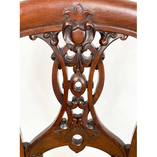 184 - DINING CHAIRS, a set of six, Victorian mahogany balloon backs with ornate interlaced carved and pier... 