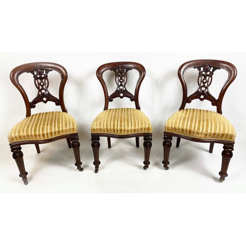 184 - DINING CHAIRS, a set of six, Victorian mahogany balloon backs with ornate interlaced carved and pier... 