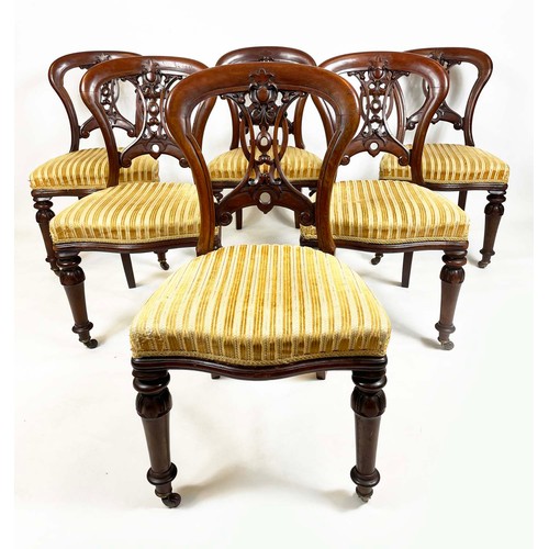 184 - DINING CHAIRS, a set of six, Victorian mahogany balloon backs with ornate interlaced carved and pier... 