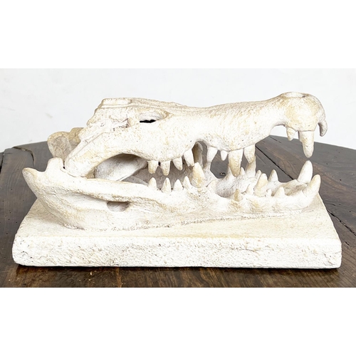 29 - CROCODILE SKULL CAST, mounted on plinth base, 14cm H x 30cm x 15cm.