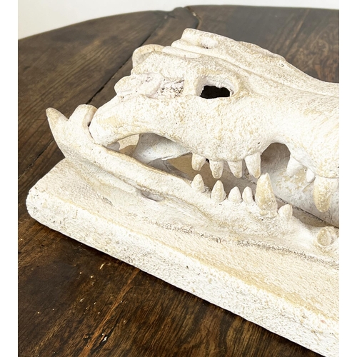 29 - CROCODILE SKULL CAST, mounted on plinth base, 14cm H x 30cm x 15cm.