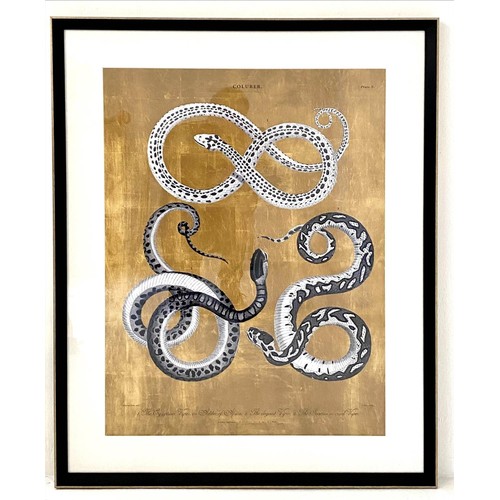 443 - CONTEMPORARY SCHOOL PRINT, untitled, snakes on gilt ground, 100cm x 80cm, framed and glazed.