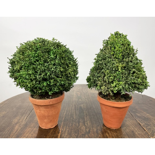 7 - MINIATURE FAUX TOPIARY TREES, a set of thirteen, 30cm H. (13)