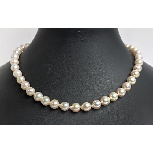 7 - CULTURED PEARL SINGLE STRAND NECKLACE, each pearl of round irregular form, 8mm diam approx, 14ct gol... 