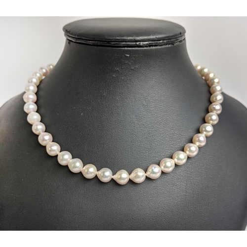 7 - CULTURED PEARL SINGLE STRAND NECKLACE, each pearl of round irregular form, 8mm diam approx, 14ct gol... 