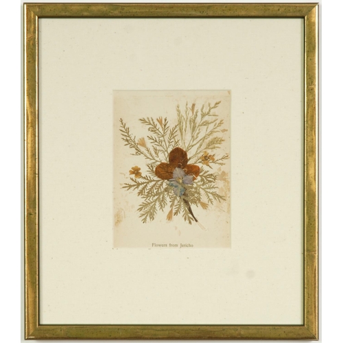 72 - HERBARIUM ANCIEN, a set of 9 dried flowers, circa 1920, linen mount board, 26 x 22.5 cm each. (9)