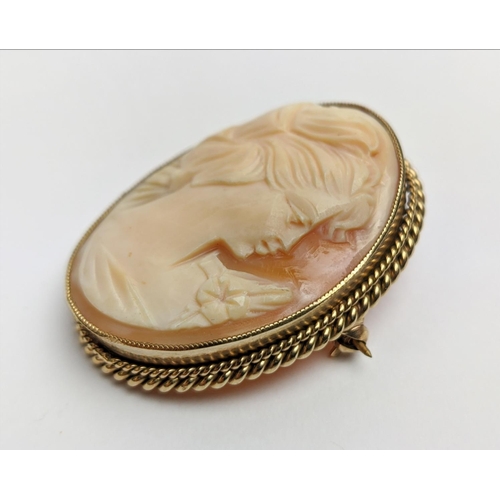 23 - A 9CT GOLD CAMEO BROOCH, Birmingham 1973, gadrooned edge, depicting the profile of a lady.