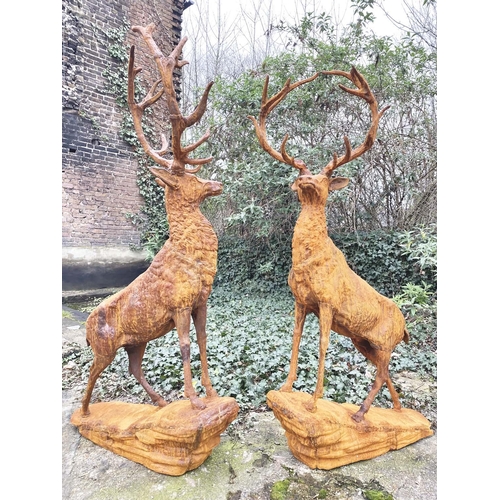 245 - SCULPTURAL HIGHLAND STAGS, a pair, in cast metal, 160cm H x 88cm L x 55cm W. (2)