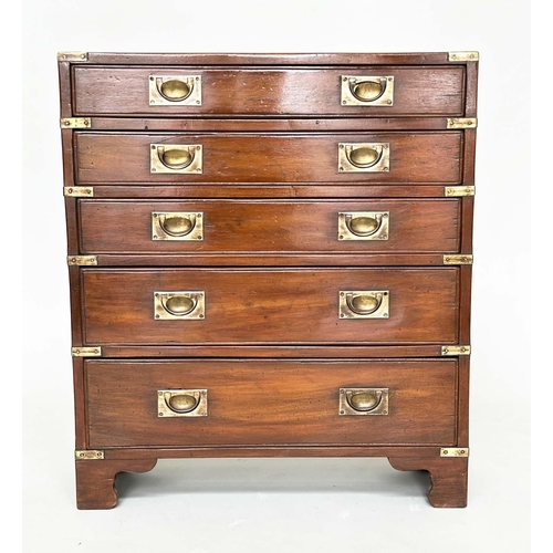 281 - CAMPAIGN STYLE HALL CHEST, mahogany and brass bound with five long drawers and carrying handles, 71c... 