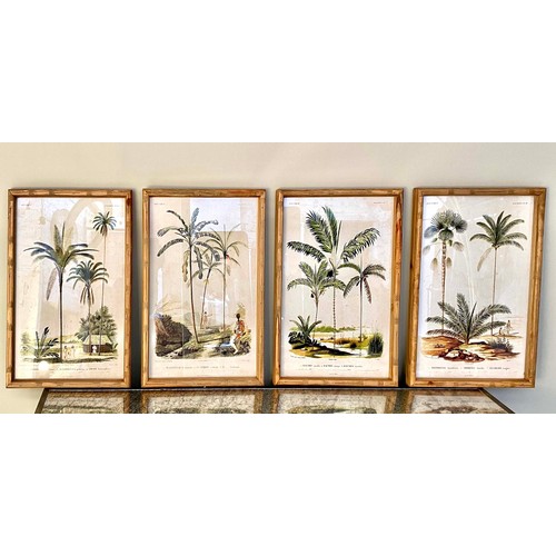 342 - BOTANICAL PRINTS, a set of four, in faux bamboo frames, 50cm H x 35cm. (4)