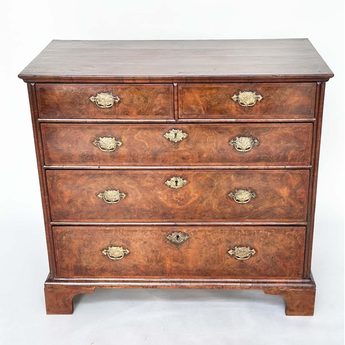 Lot 293       