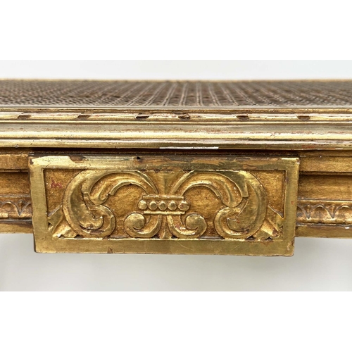 203 - WINDOW SEAT, late 19th century French Louis XVI style giltwood with cane seat and carved tapering su... 