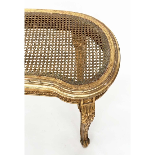 203 - WINDOW SEAT, late 19th century French Louis XVI style giltwood with cane seat and carved tapering su... 
