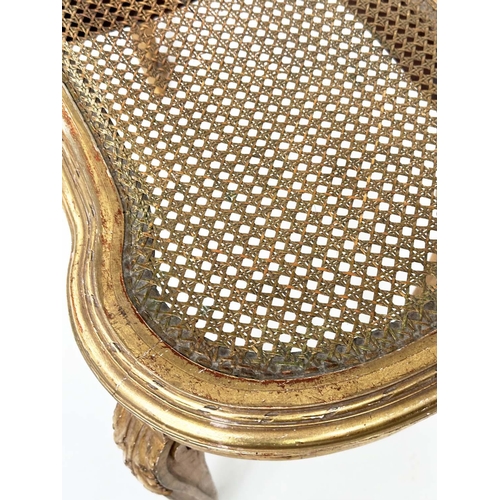 203 - WINDOW SEAT, late 19th century French Louis XVI style giltwood with cane seat and carved tapering su... 