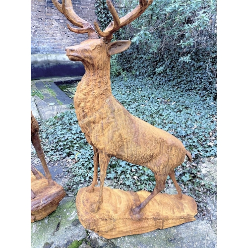 161 - SCULPTURAL HIGHLAND STAGS, a pair, in cast iron, 160cm H x 88cm L x 55cm W. (2)