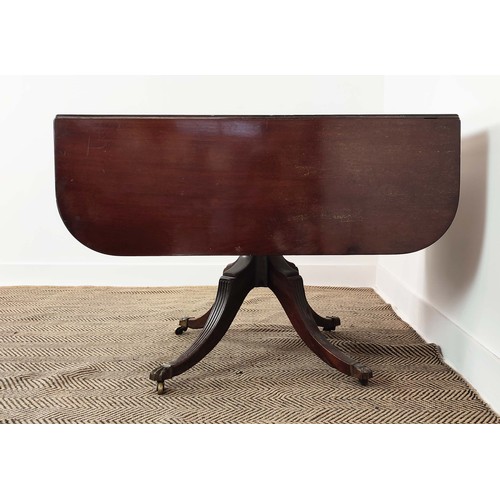 241 - PEDESTAL PEMBROKE TABLE, Regency mahogany with a pair of drop leaves and drawer on reeded quadraform... 