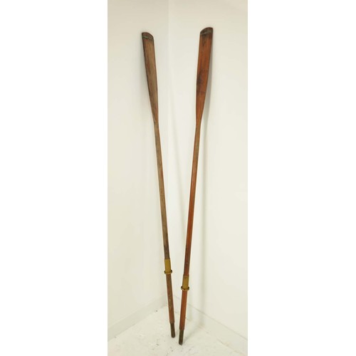 393 - PAIR OF MID-CENTURY OARS, 260cm H