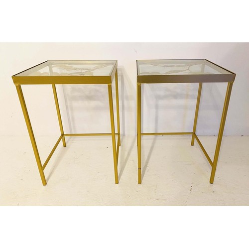 293 - WINE TABLES, a pair, 51cm H x 40cm W, the tops with butterfly motifs, overlaid glass, gilt frames. (... 