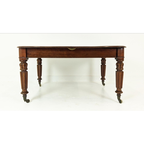 586 - DINING TABLE, extendable, William IV mahogany with three extra leaves on carved supports, 108cm x 13... 