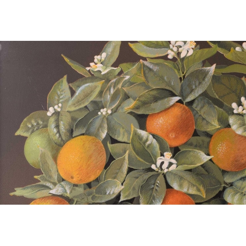 134 - JOSE ESCOFET (Spanish b. 1930) 'Lemon tree' and 'Orange tree', watercolour on print base, signed and... 