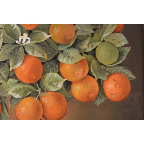 134 - JOSE ESCOFET (Spanish b. 1930) 'Lemon tree' and 'Orange tree', watercolour on print base, signed and... 