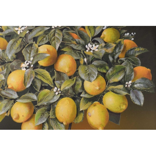 134 - JOSE ESCOFET (Spanish b. 1930) 'Lemon tree' and 'Orange tree', watercolour on print base, signed and... 