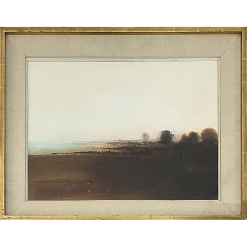 103 - ANTHONY KRIKHAAR (B.1940), 'Coastal landscape', oil on board, 66cm x 80cm, signed, framed.