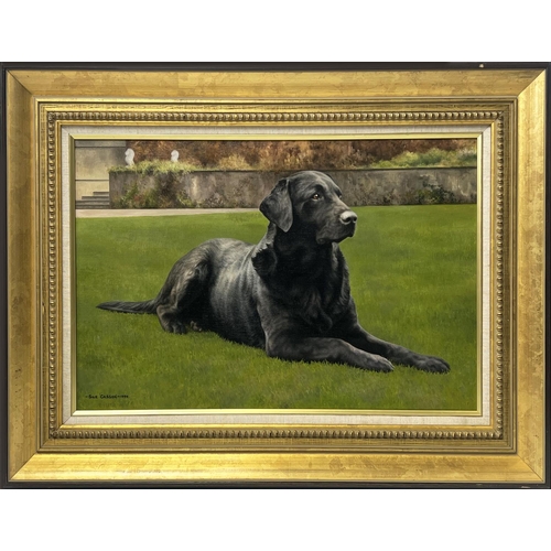 141 - SUE CASSON (20th century British), 'Black Labrador', oil on canvas, 34cm x 54cm, framed.