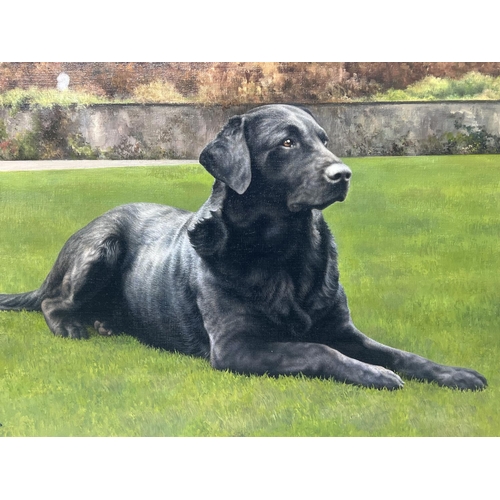 141 - SUE CASSON (20th century British), 'Black Labrador', oil on canvas, 34cm x 54cm, framed.