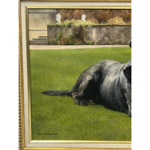 141 - SUE CASSON (20th century British), 'Black Labrador', oil on canvas, 34cm x 54cm, framed.