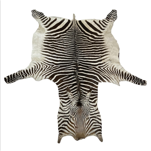 166 - ZEBRA SKIN RUG, early 20th century full hide with a baize lining, 290cm x 191cm approx.