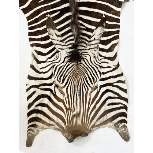 166 - ZEBRA SKIN RUG, early 20th century full hide with a baize lining, 290cm x 191cm approx.