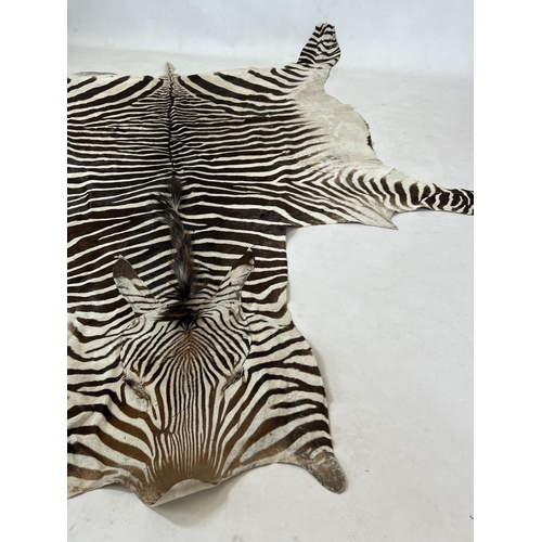 166 - ZEBRA SKIN RUG, early 20th century full hide with a baize lining, 290cm x 191cm approx.