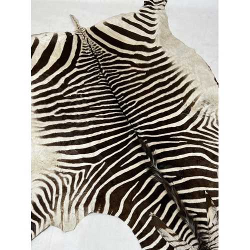 166 - ZEBRA SKIN RUG, early 20th century full hide with a baize lining, 290cm x 191cm approx.