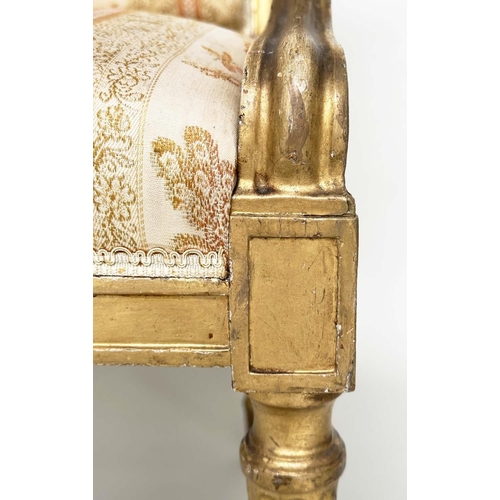 221 - FAULTEUILS, a pair, 19th century giltwood each with down swept arms and carved fluted supports, 60cm... 