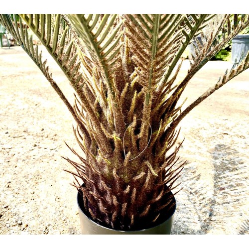 334 - FAUX FERN TREES, a pair, potted, 110cm H approx. (2)