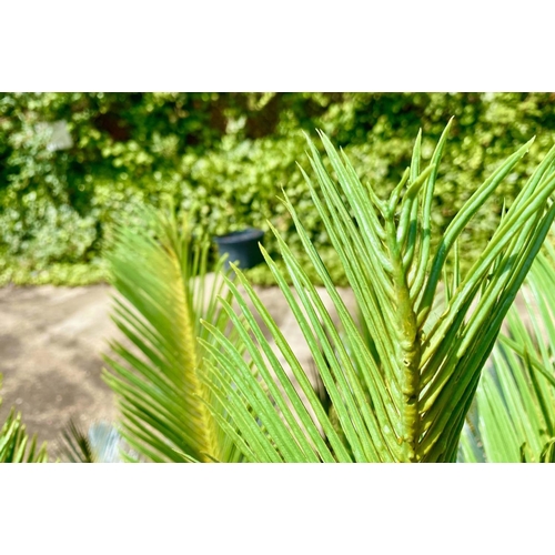 347 - FAUX FERN TREES, a pair, potted 110cm H. (2)