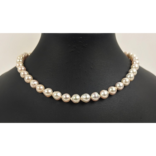 49 - CULTURED PEARL SINGLE STRAND NECKLACE, each pearl of round irregular form, 8mm diam approx, 14ct gol... 