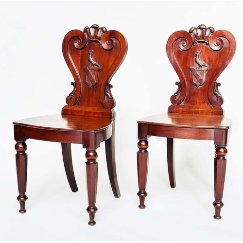 108 - HALL CHAIRS, a pair, George III English Country House mahogany with carved armorial backs and facett... 