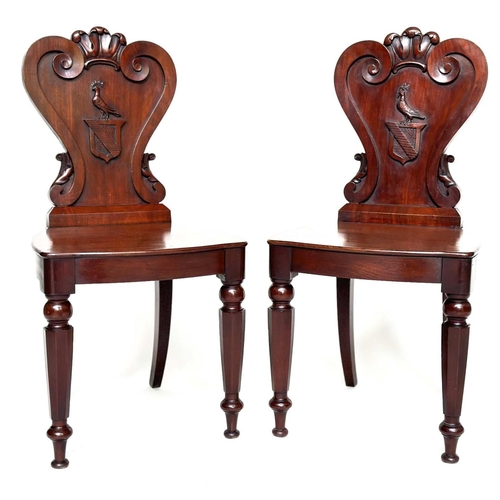 108 - HALL CHAIRS, a pair, George III English Country House mahogany with carved armorial backs and facett... 