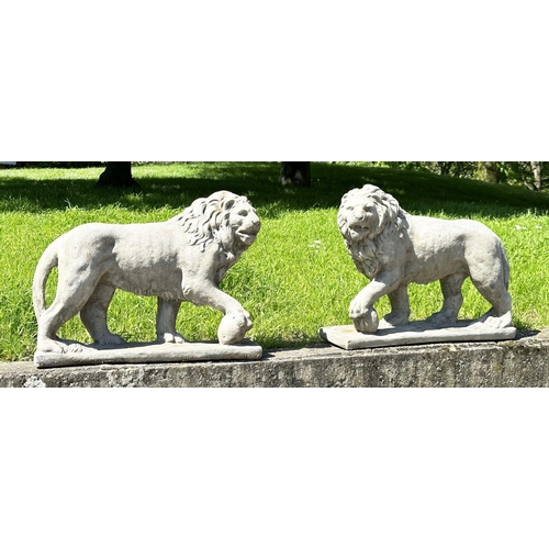 136 - GARDEN LIONS, a pair, weathered reconstituted stone, 58cm H x 70cm W. (2)