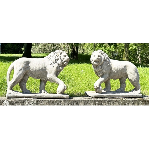 136 - GARDEN LIONS, a pair, weathered reconstituted stone, 58cm H x 70cm W. (2)