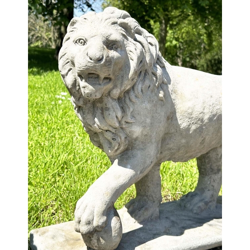 136 - GARDEN LIONS, a pair, weathered reconstituted stone, 58cm H x 70cm W. (2)