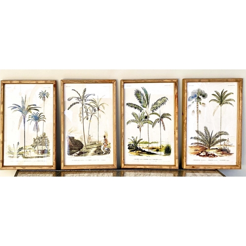 376 - BOTANICAL PRINTS, a set of four, framed, 50cm H x 35cm. (4)