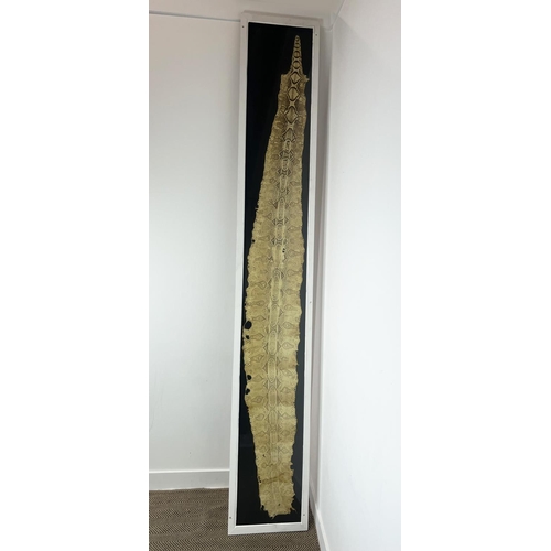 3 - TAXIDERMY PYTHON SKIN, of substantial size, 296cm x 48cm overall, framed.