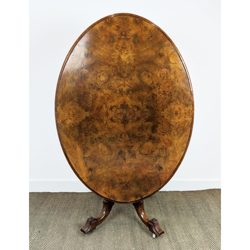 487 - LOO TABLE, mid Victorian burr walnut and walnut with oval tilt top and ceramic castors, 73cm H x 135... 