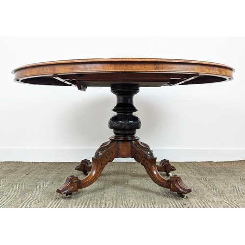 487 - LOO TABLE, mid Victorian burr walnut and walnut with oval tilt top and ceramic castors, 73cm H x 135... 