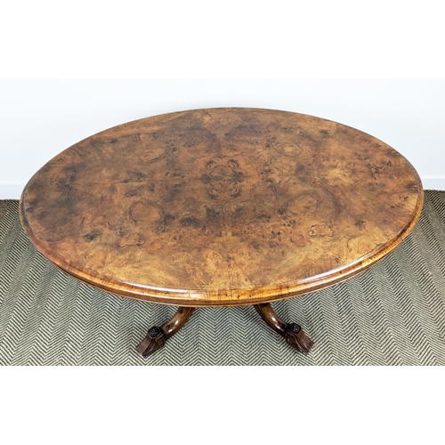 487 - LOO TABLE, mid Victorian burr walnut and walnut with oval tilt top and ceramic castors, 73cm H x 135... 