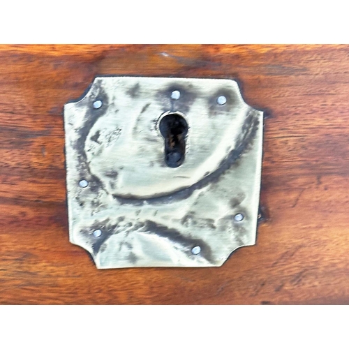 247 - TRUNK, 19th century Chinese Export camphorwood and brass bound with rising lid and carrying handles,... 